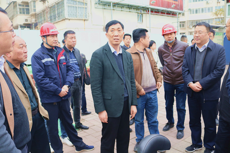 洛陽市委常委、市政府黨組成員王琰君一行